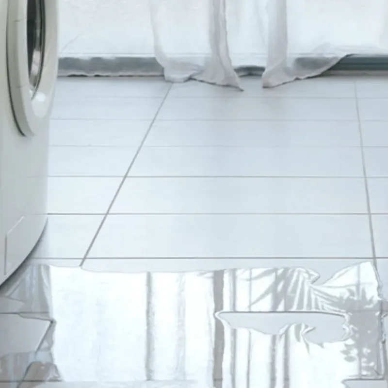 Appliance Leak Cleanup in Knox County, KY