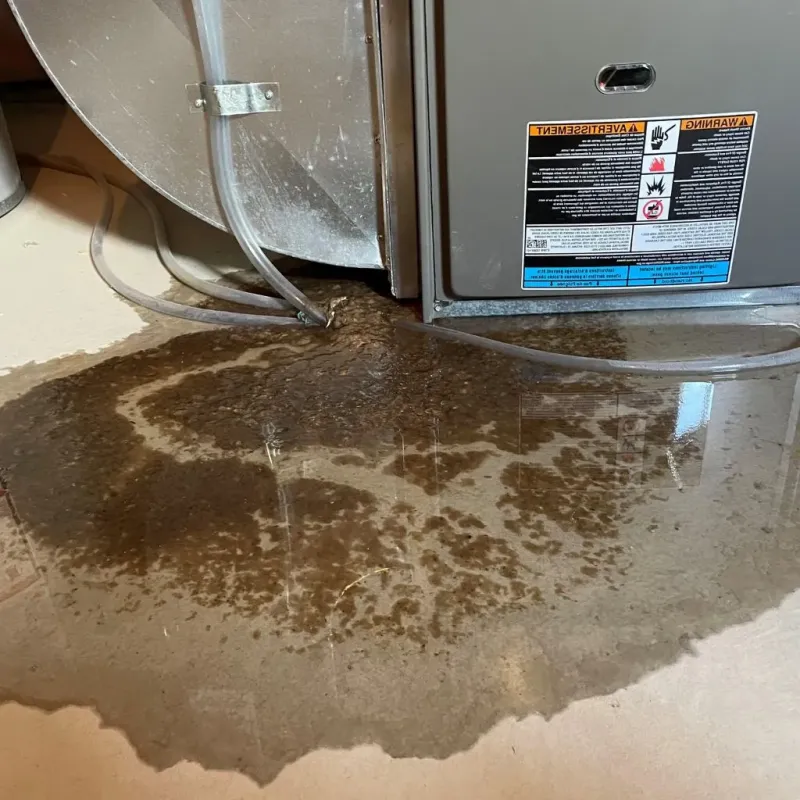 Pipe Burst and Leak Restoration in Knox County, KY