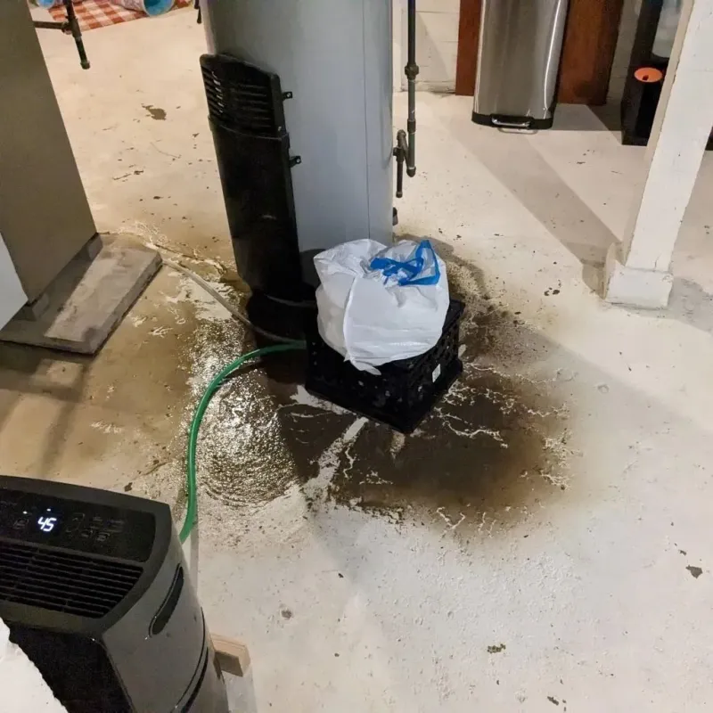 Sewage Backup Cleanup Service in Knox County, KY